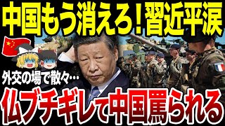 【ゆっくり解説】習近平イメージ払拭のためのフランス外交が大失敗！世界の「中国離れ」実感し大号泣。