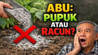 **Complete Facts About Ash: Fertilizer or Poison for Your Plants?**