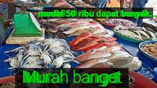 Very Cheap Buy Fish At Tpi Fish Stop In Labu Beach North Sumatra