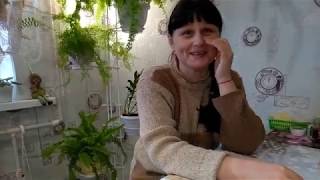 Мои страхи // Нефролепис Мариса Мои страхи // Нефролепис Мариса