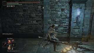 ELDEN RING dlc New game Plus