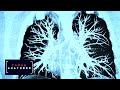 Тайны анатомии. Дыхательная система