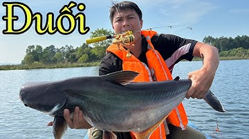 ✅ Câu cá tra khủng nước sâu 18m hồ bán thiên nhiên Đồng Nai | DUY FISHING SAI GON