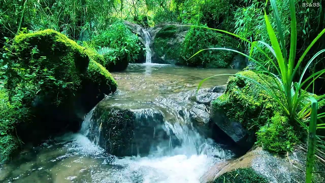 Кристально чистый ручей, пение птиц в горах, расслабление, внутренний покой, сон.
