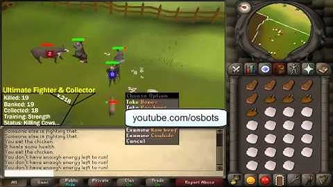 Old School Runescape 2007 Bot Client   Scripts for All Skills!