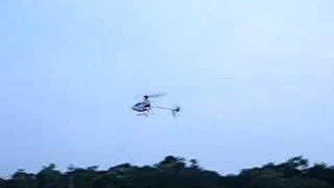 Esky honey bee CP2 intermediate properly fly 6