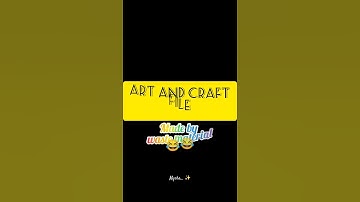 #Bed practical files #second year #Achievements test and #Art and Craft files #DBRAU