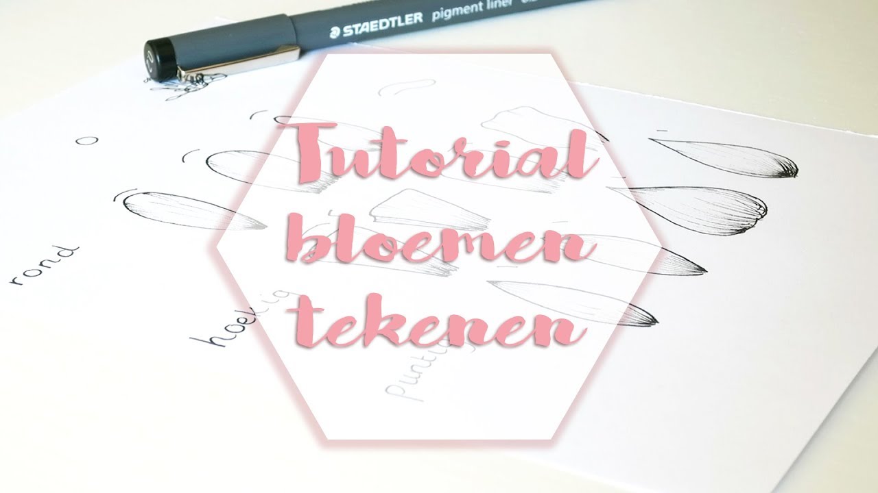 Verwonderend Botanische bloemen tekenen - tutorial | Jojan Tekent - YouTube CZ-97