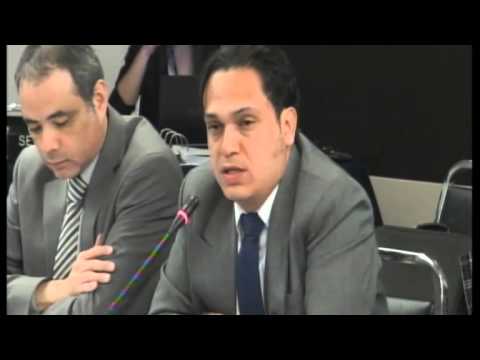 Situation of the Right to Freedom of Expression of the Indigenous Peoples in Guatemala 