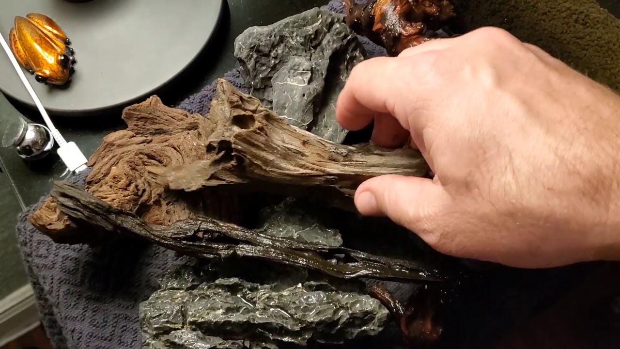 Setting up Seapora fish tank