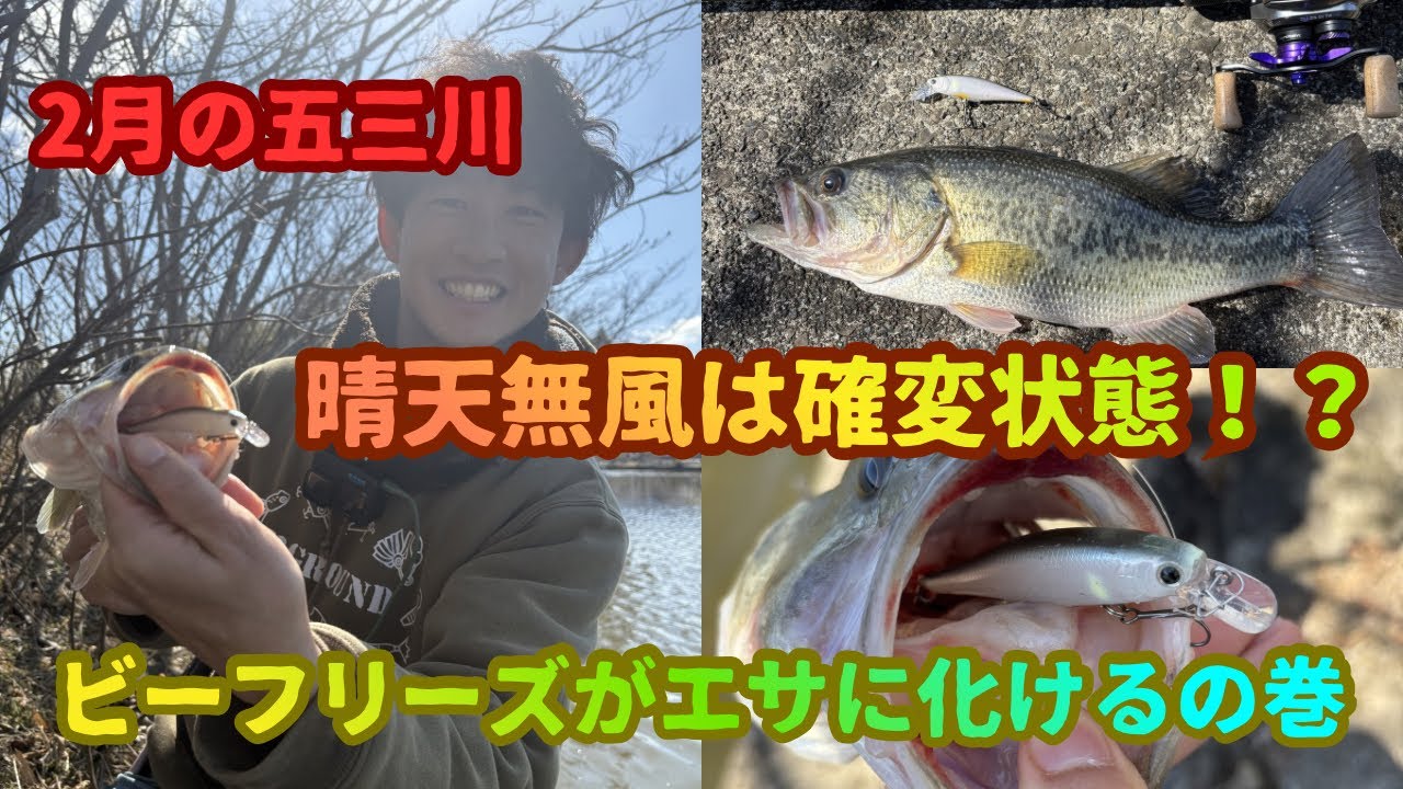 【2月の五三川】晴天無風＋ビーフリーズは必勝パターン！？〜エサ同然のラインが走る本気バイト〜