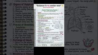 human respiratory system 🔥#studytips #hardwork #strongmindset #success