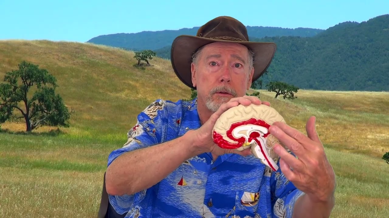 The Education of a Sex-Positive Humanistic Psychologist: Diversity in Learning & Experience