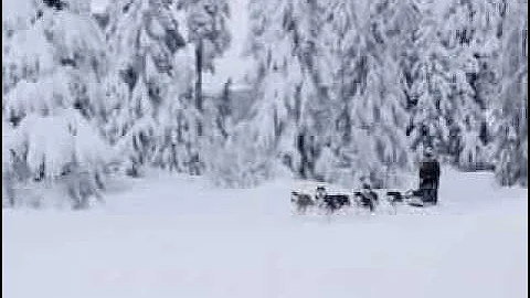 Lean on me- Mitchel Musso