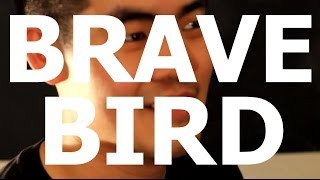 Watch Brave Bird I Dont Wanna Know video