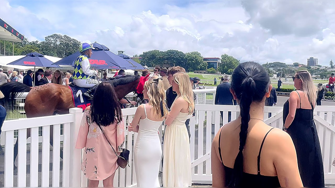 Where Fashion Meets Fast Horses | Auckland  #newzealand #newzealand #horseracing 