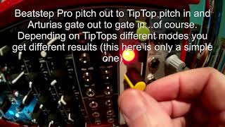 Tiptop Audio ONE - Eurorack Module on ModularGrid