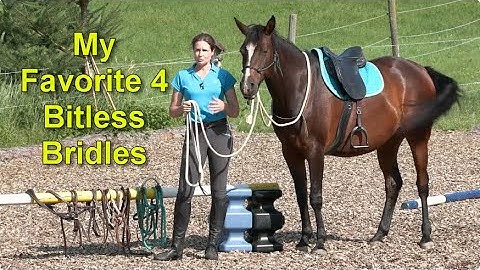 Bitless Bridles I Love to Use - Why and for What Type of Horse