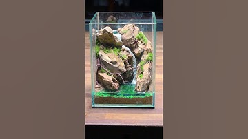 Making a Waterfall Terrarium 🌿