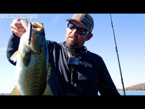 Lake Skinner tournament was on 🔥. Big bags and lots of culls!, By  Temecula Valley Bass Anglers