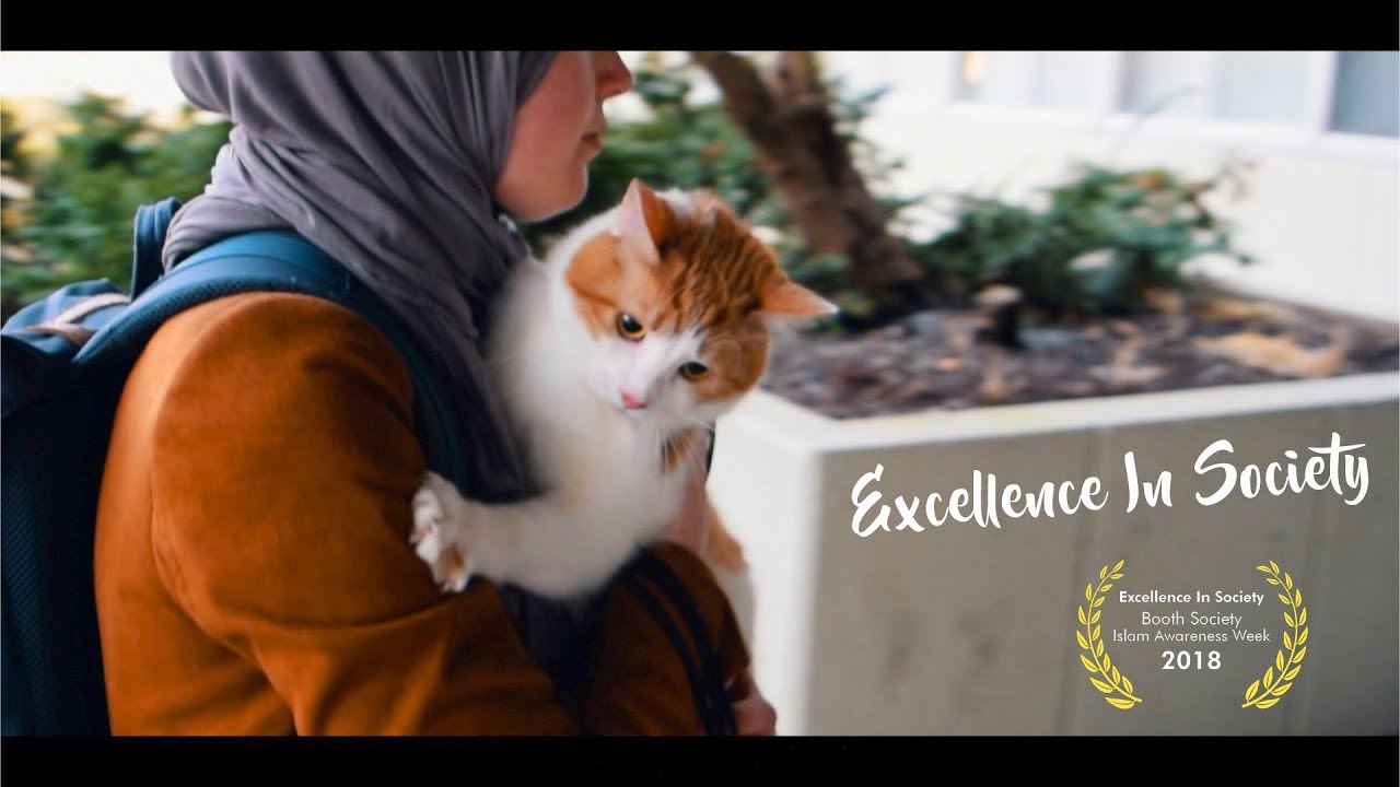 Excellence In Society | #IslamAwarenessWeek2018