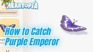 RARE PURPLE BUTTERFLY FOUND! - How to Catch Purple Emperor in