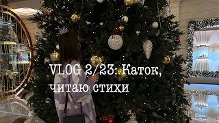 Vlog 2/23: Каток, Читаю Стихи