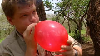 Ray Mears' Bushcraft S01E04 - Africa Camp screenshot 2