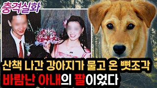 충격실화ㅣ완전 범죄를 꿈꿨지만, 강아지 때문에 드러난 범인의 충격적인 정체 #252ㅣ#YOOHOOTV