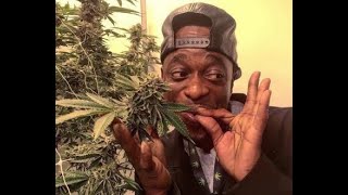 Devin The Dude Ft. Twista, Fel - Toast 2 The Pussy Hq
