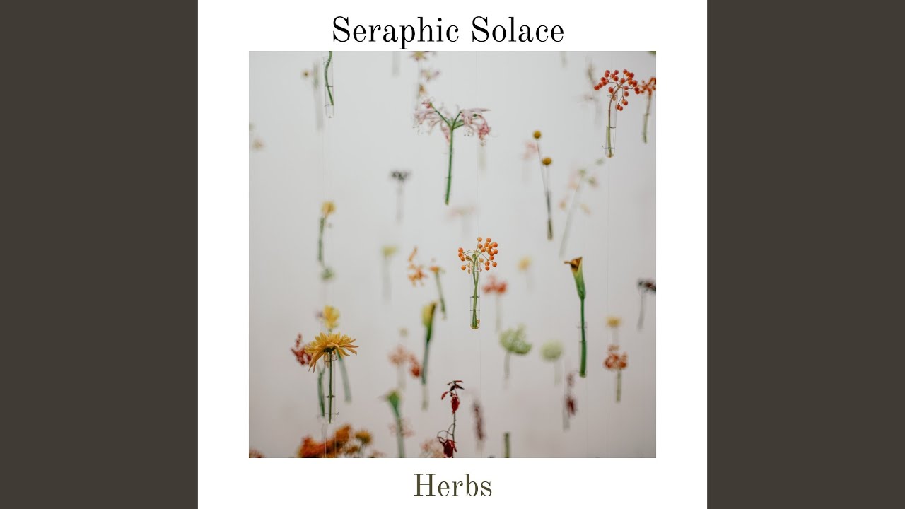 Watch Waves on YouTube Watch Waves on YouTube