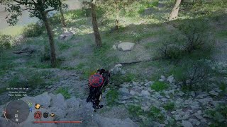Crimson Desert Location Guide For Your New pet Raccoon