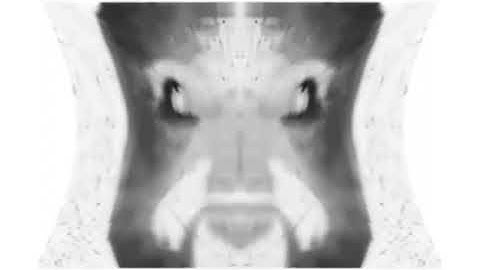 Deaf X Uses In "NotSoBot_FFMPEG"