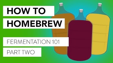 So You Want to Brew! Our Intro Course to Brewing and Fermentation | Part 2: Microorganisms