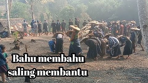 Acara ngasek atau nanam padi warga suku Baduy