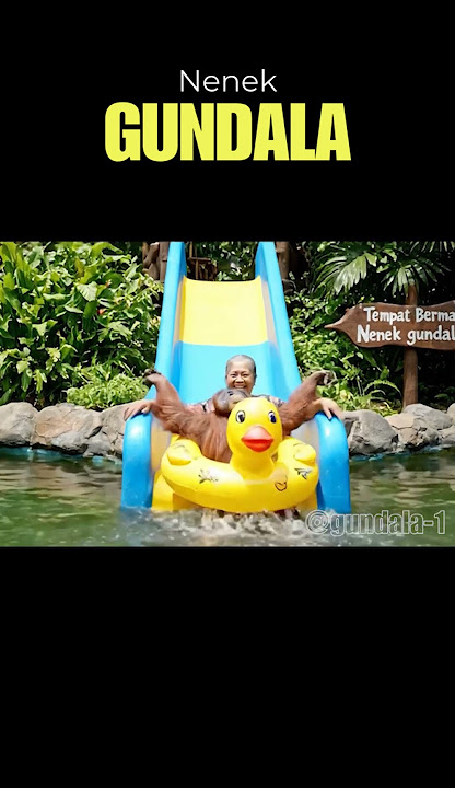 Nenek & Orangutan Main Perosotan di Kolam Buaya?! 😂🦧🐊 #nenekhebat #veo3#nenek #orangutan #kolambuaya