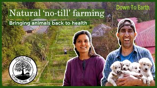 How to grow an organic ‘Notill’ farm that sustains people and rescues animals | Peepal Farm's story