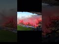 Brøndby🇩🇰 fans vs Pogon Szczecin #nopyronoparty