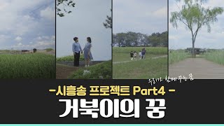 [시흥송 프로젝트 Part 4] - 거북이의 꿈 (이수영 작사, 정보형 작곡)