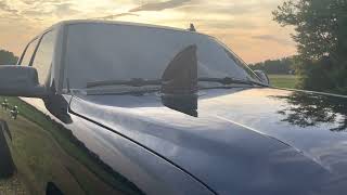 Celebrity Hood Stack LBZ Exhaust ASMR 4K Net Worth