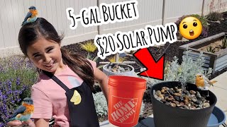 DIY Water Feature Solar Panel & 5 gallon bucket | Water Fountain