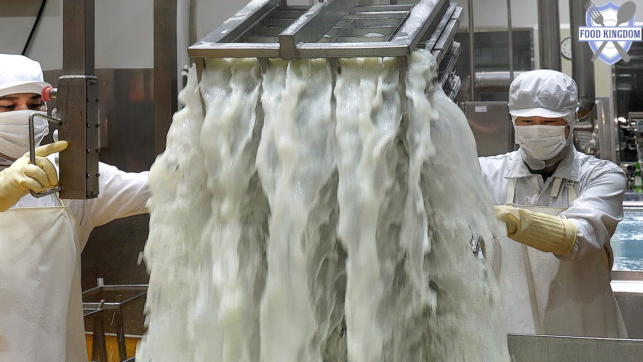 압도적입니다! K-Cheese의 대명사 임실치즈 대량생산 현장 / Korean Cheese Mass Production