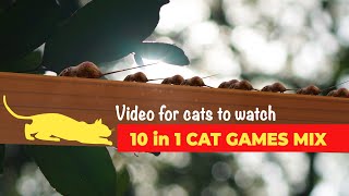 CAT GAMES - 10 in 1 CAT GAME MIX screenshot 3