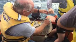 Urenui Fishing Competition 2015
