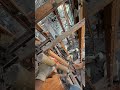 Demolición interior #shortsfeed