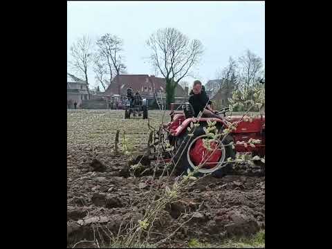 Oldtimertreffen Mamburg 2023