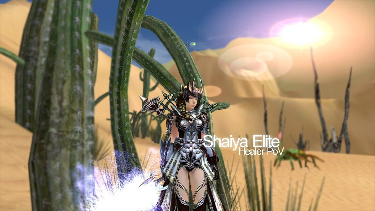 Shaiya Elite PvP | Healer PoV