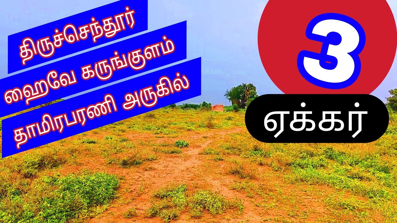 2.3/4ஏ-15 L..திருச்செந்தூர் ஹைவே கருங்குளம் தாமிரபரணி அருகில் 3 ஏக்கர் -2317-025.11.23