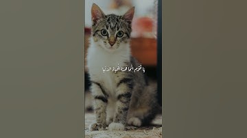 اكتب شي تؤجر عليه ❤️ #تلاوة_خاشعة #اكسبلور #المصحف #قران_كريم #راحة_نفسية