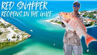 RED SNAPPER MADNESS FULL LIMITS | FALL FISHING IS THE BEST